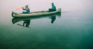 에디터 이미지